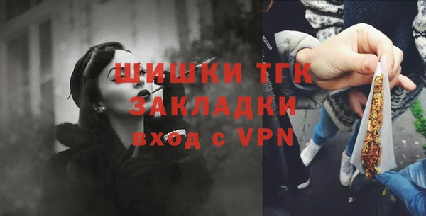 шишки Ростов