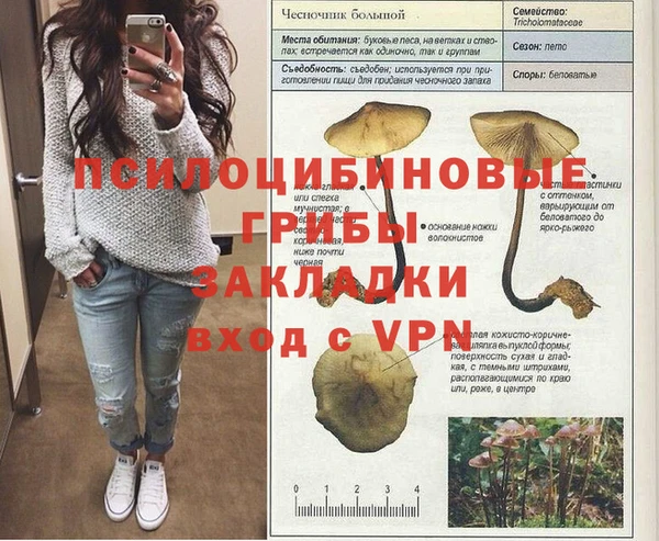 Альфа ПВП Алзамай